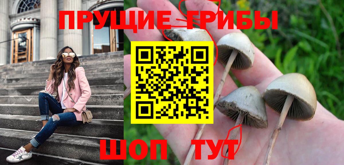 Псилоцибиновые грибы мухоморы Кимовск